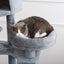 Cat Tree, 105-Inch Cat Tower for Indoor Cats, Plush Multi-Level Cat Condo with 3 Perches, 2 Caves, Cozy Basket and Scratching Board, GRAY COLOR